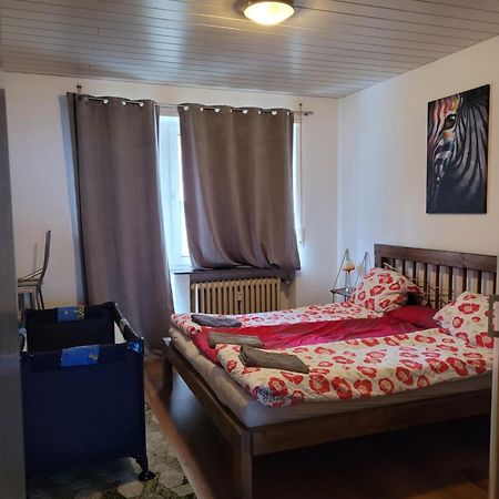 Apartments Nikol - Ludwigshafen Extérieur photo